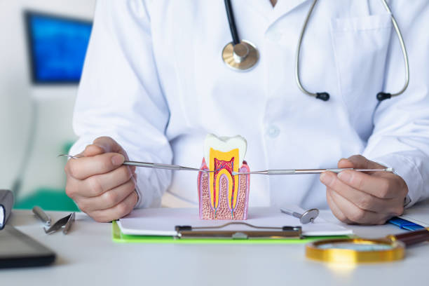 Emergency Dentist for Kids in MN
